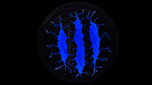 LED Art: Blue Fissures by Kristen Hoard ($900) 23" Diameter